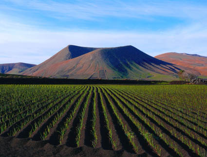 La Geria 2009