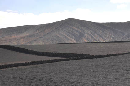 Tiagua 2011