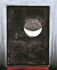 cochinilla 8