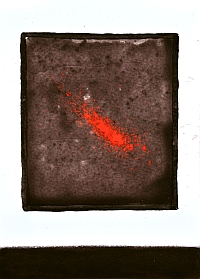 cochiinilla 2