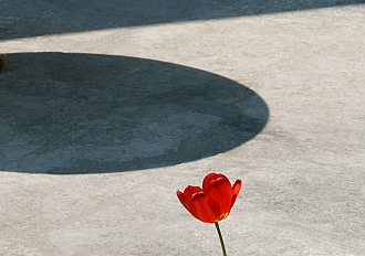 april 2011